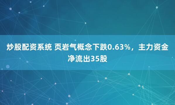 炒股配资系统 页岩气概念下跌0.63%，主力资金净流出35股