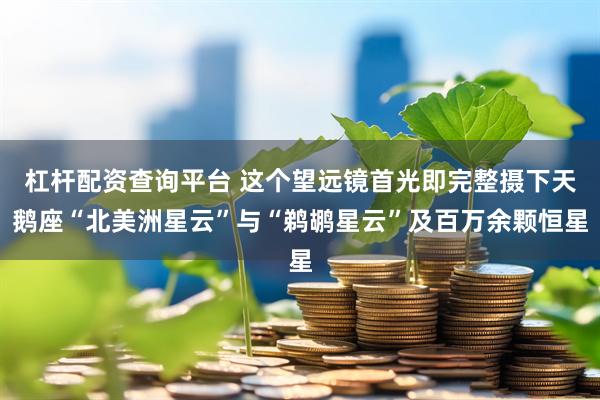 杠杆配资查询平台 这个望远镜首光即完整摄下天鹅座“北美洲星云”与“鹈鹕星云”及百万余颗恒星